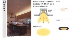ぱなダウン②