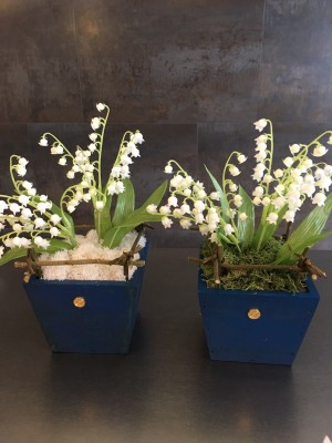 image3 1